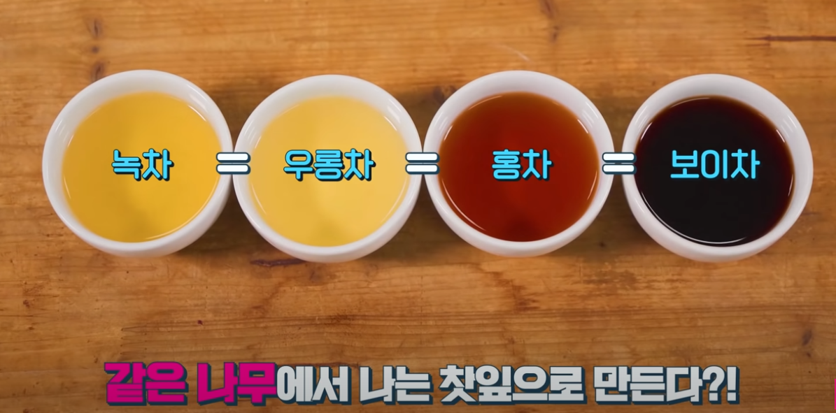 우롱차의 5대 효능과 부작용, 녹차와 홍차의 차이