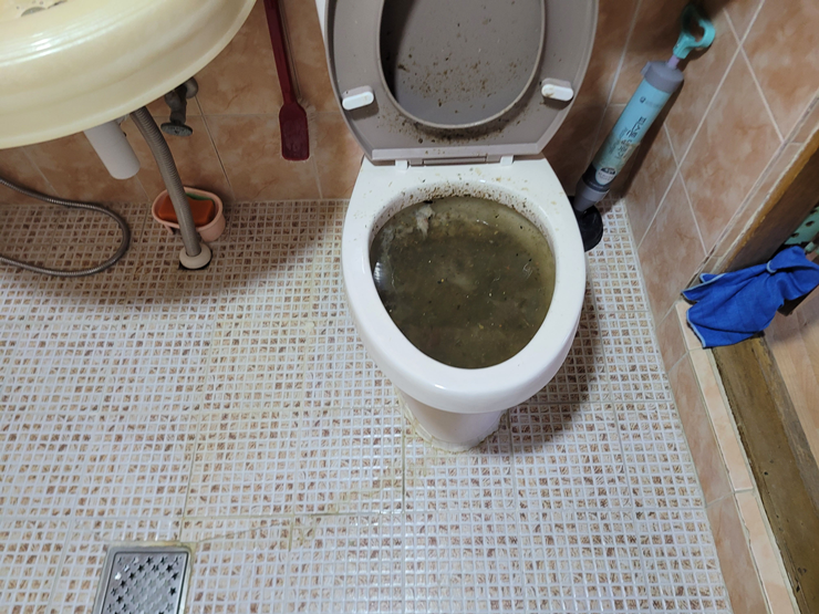 화장실변기역류