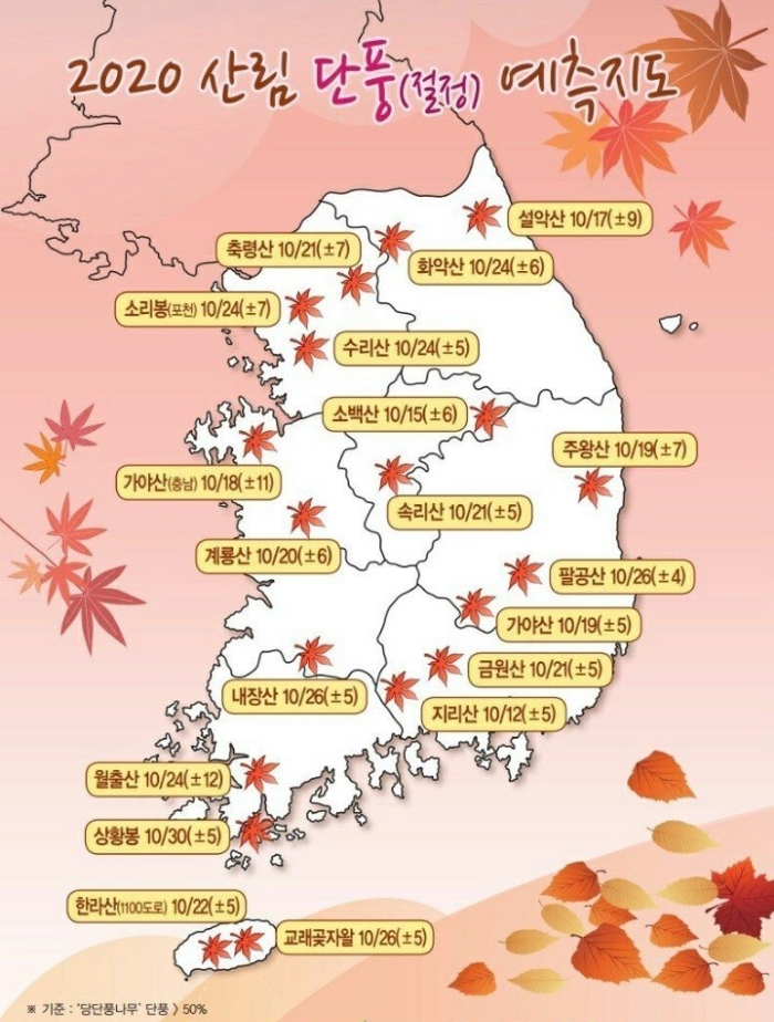  가을 단풍 여행 추천 5곳