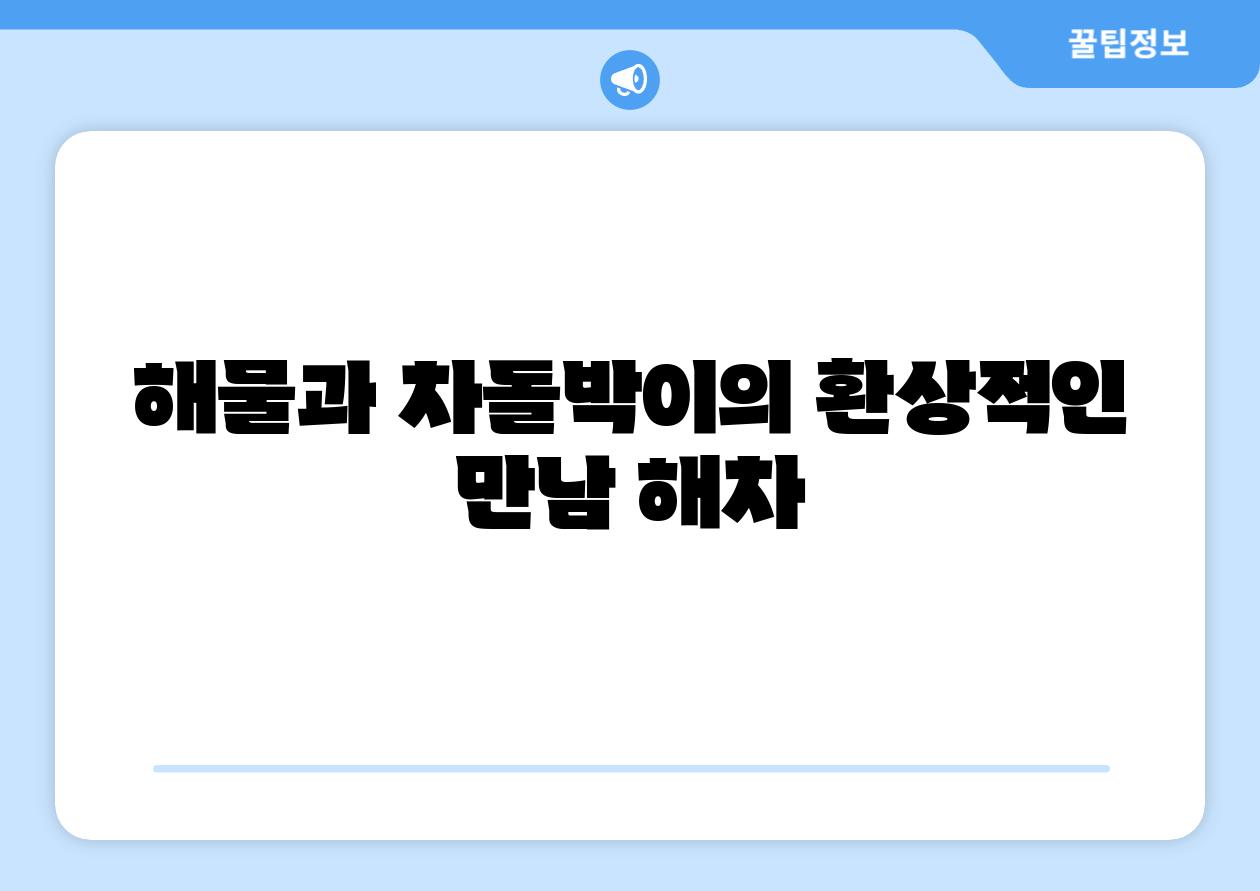 해물과 차돌박이의 환상적인 만남 해차