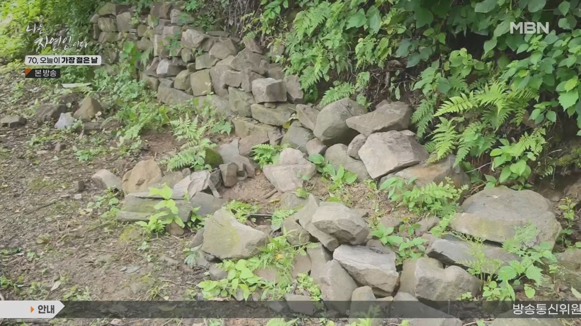 나는 자연인이다.E565.230802p.H264-F1RST.mp4_20230803_203353.905.jpg