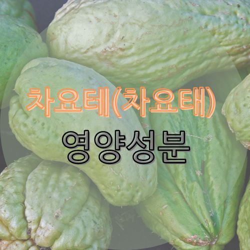 차요테(차요태)영양성분