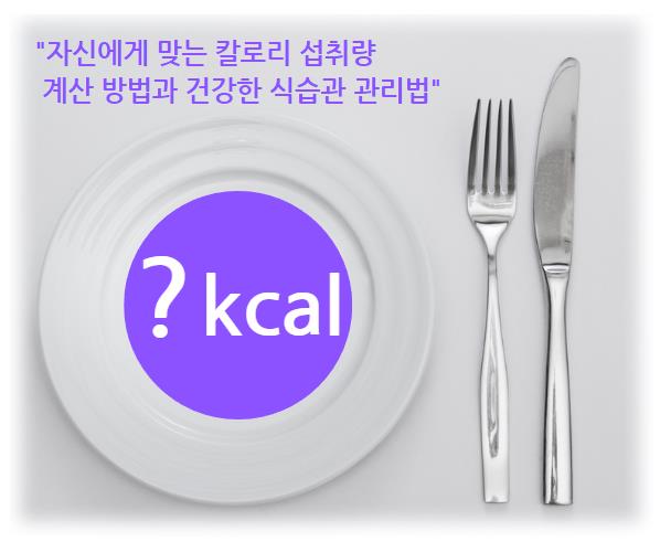 자신에게 맞는 칼로리 섭취량 계산 방법과 건강한 식습관 관리법 알아보기