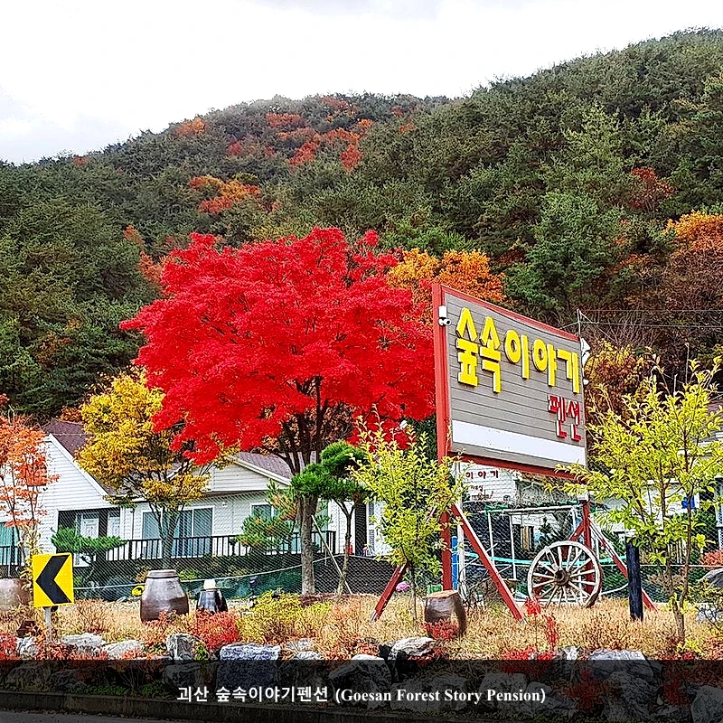 괴산 숲속이야기펜션 (Goesan Forest Story Pension)_1
