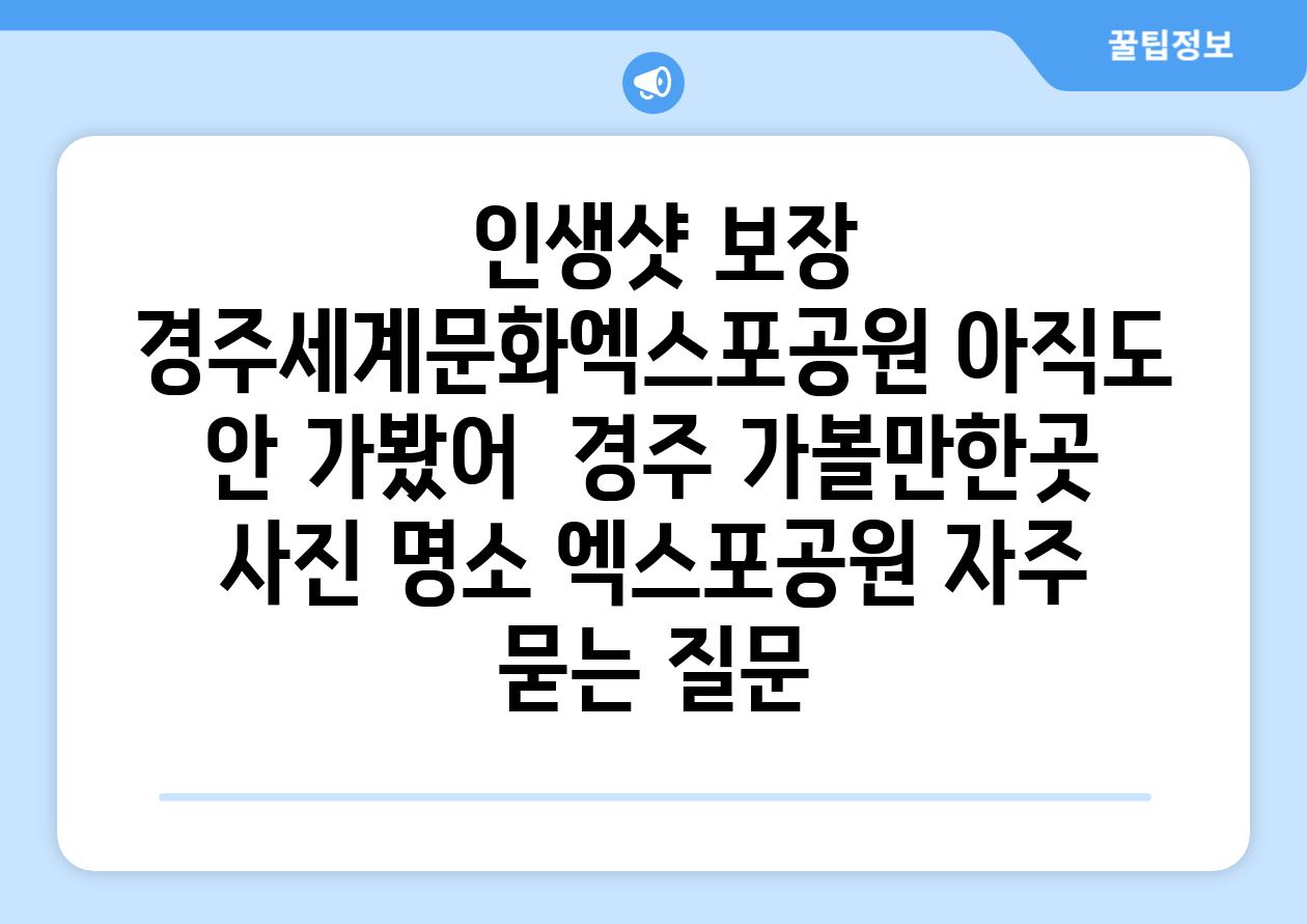  인생샷 보장 경주세계문화엑스포공원 아직도 안 가봤어  경주 가볼만한곳 사진 명소 엑스포공원 자주 묻는 질문