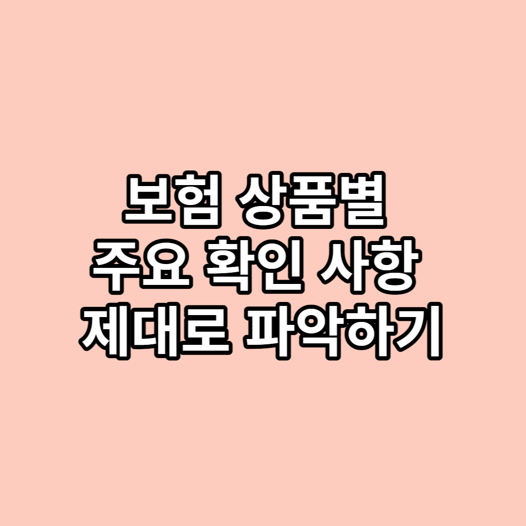  보험 상품별 주요 확인 사항 제대로 파악하기