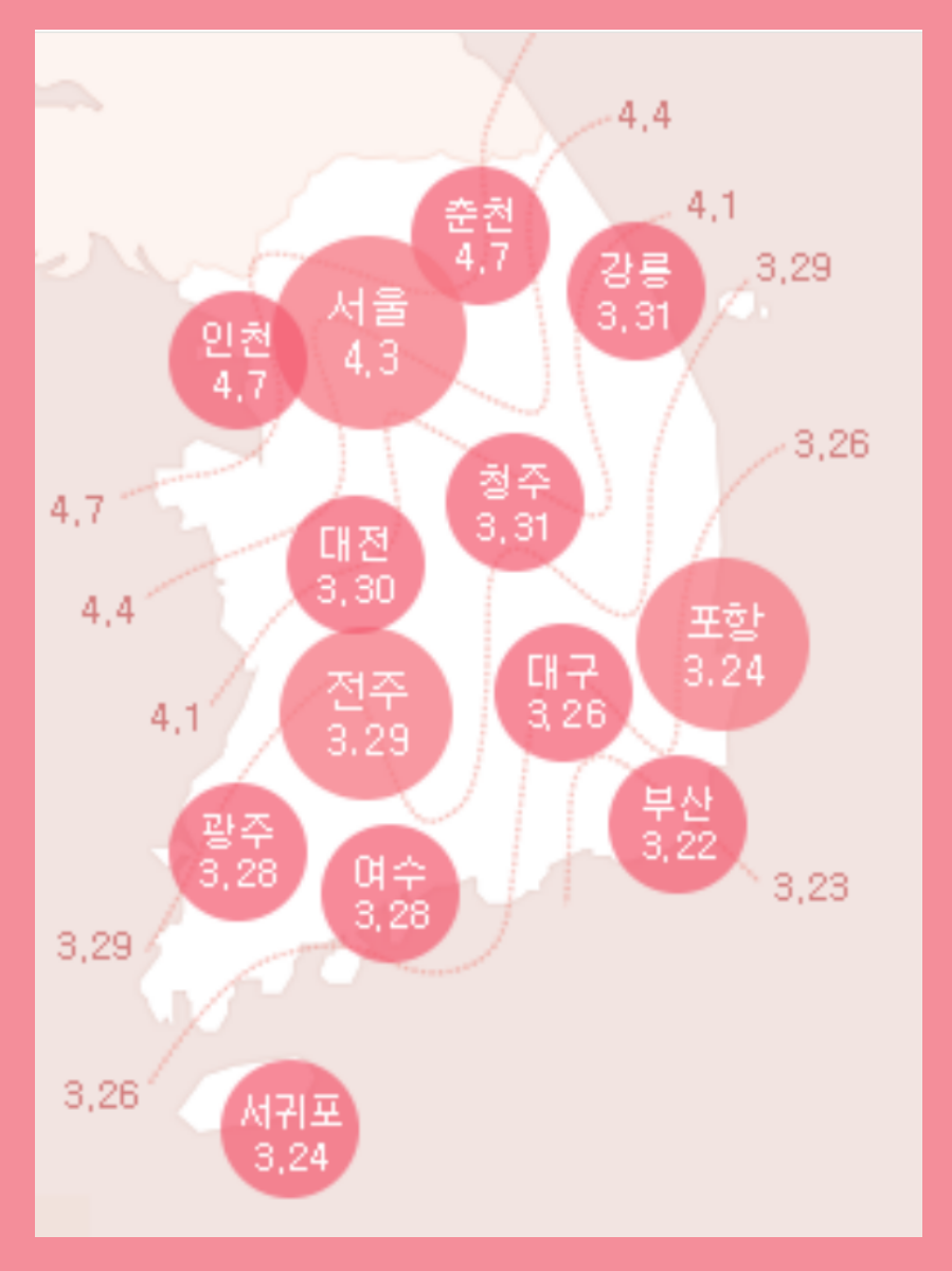 2024 벚꽃 개화시기