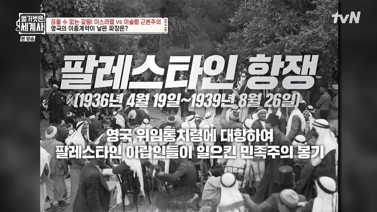 벌거벗은 세계사.E129.231213p-NEXT.mp4_20240618_203724.380.jpg