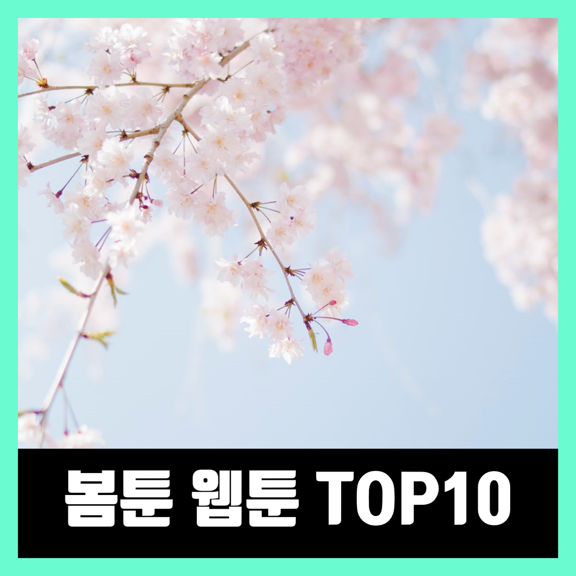  봄툰 웹툰 추천 TOP10