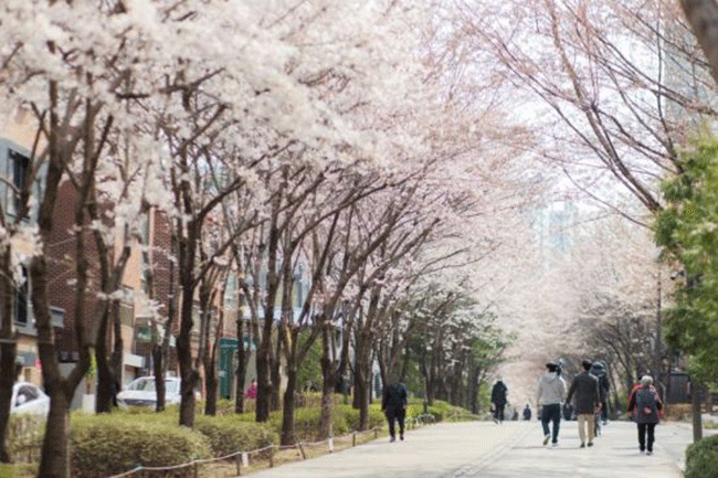 경의선숲길
