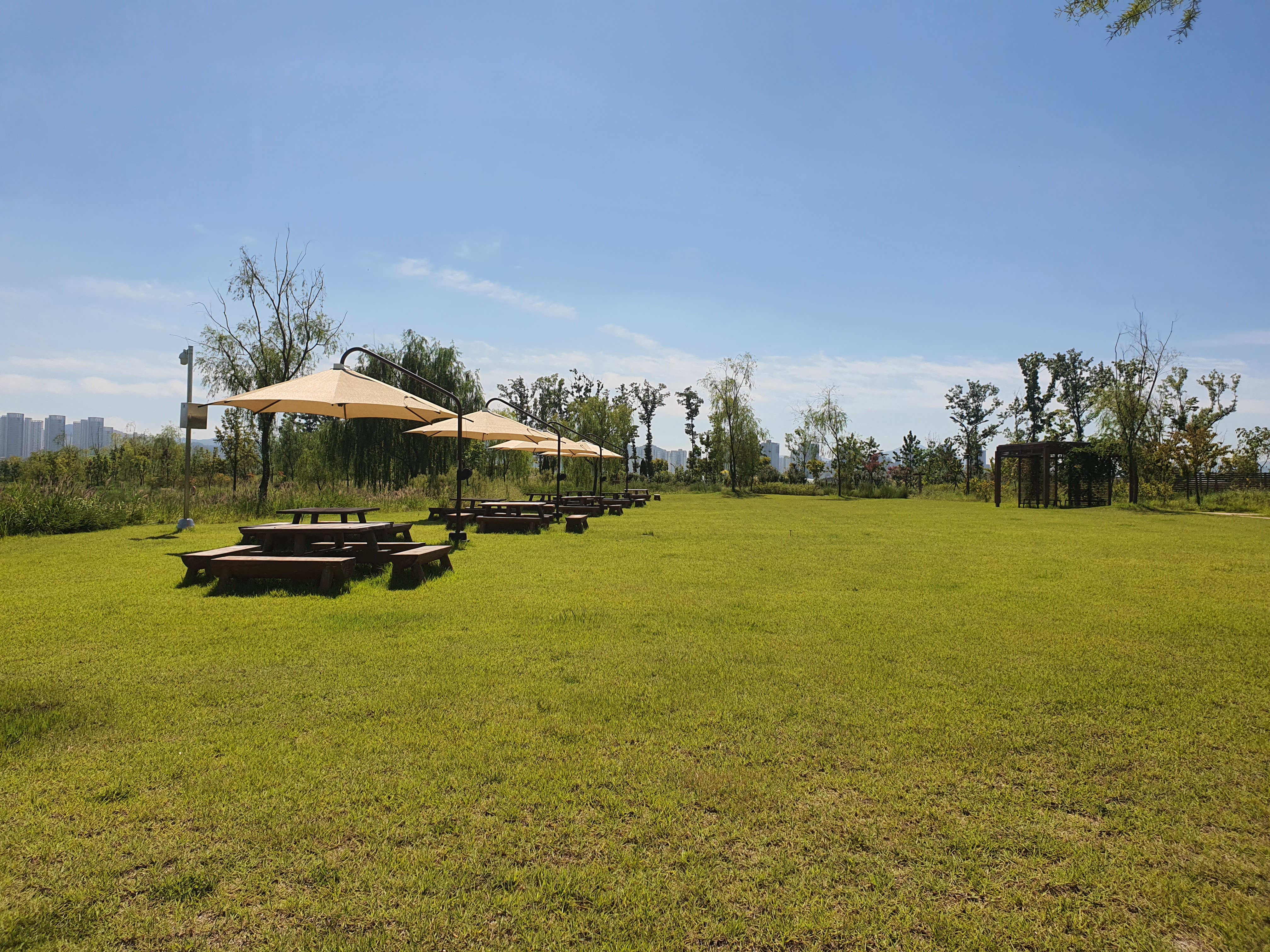 국립세종수목원 야간 개장 이용 안내 할인 혜택 세종 가볼만한 곳