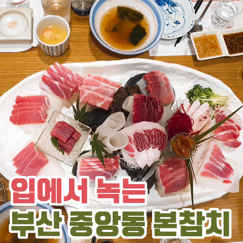  입에서 녹는 참치 맛집 부산 중앙동 본참치