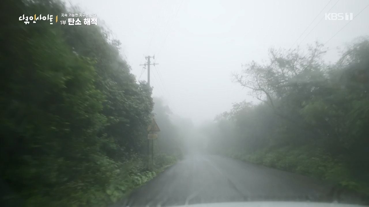 다큐 인사이트.E177.240112p-NEXT.mp4_20240113_155850.352.jpg