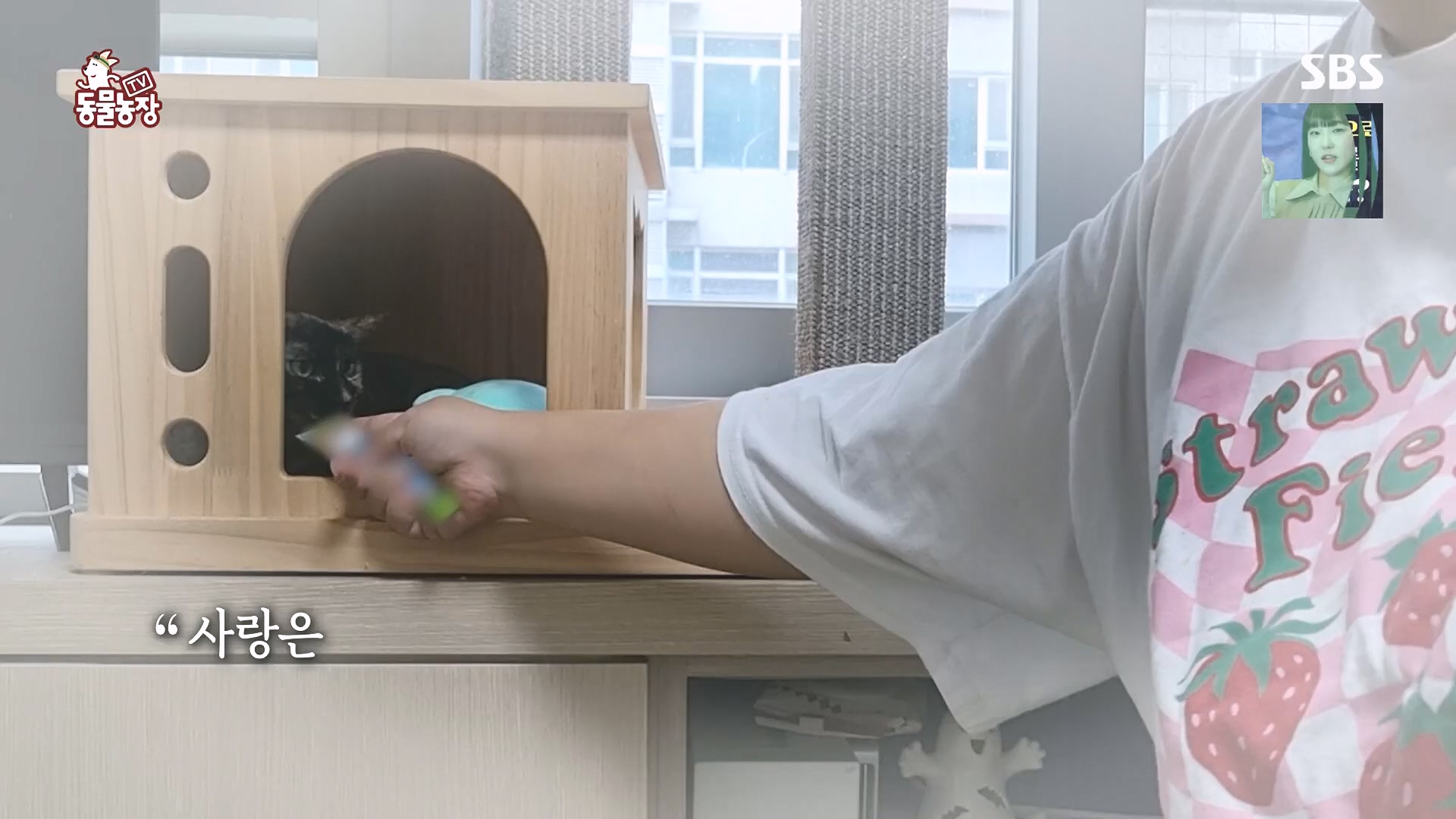 TV 동물농장.E1136.230903p.H264-F1RST.mp4_20230903_180403.297.jpg