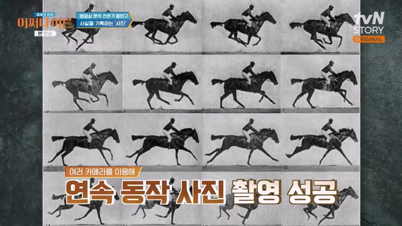 어쩌다 어른.E43.240214p-NEXT.mp4_20240214_201412.466.jpg