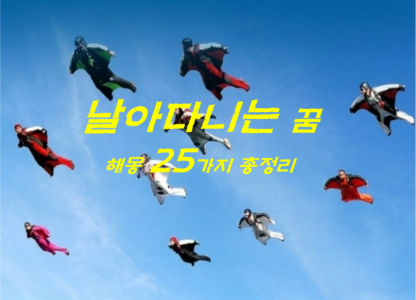  공중을 날아다니는 꿈, 사다리꿈 해몽 25가지 총정리