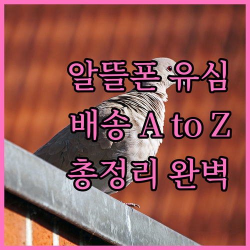 알뜰폰 유심 배송 A to Z 총정리