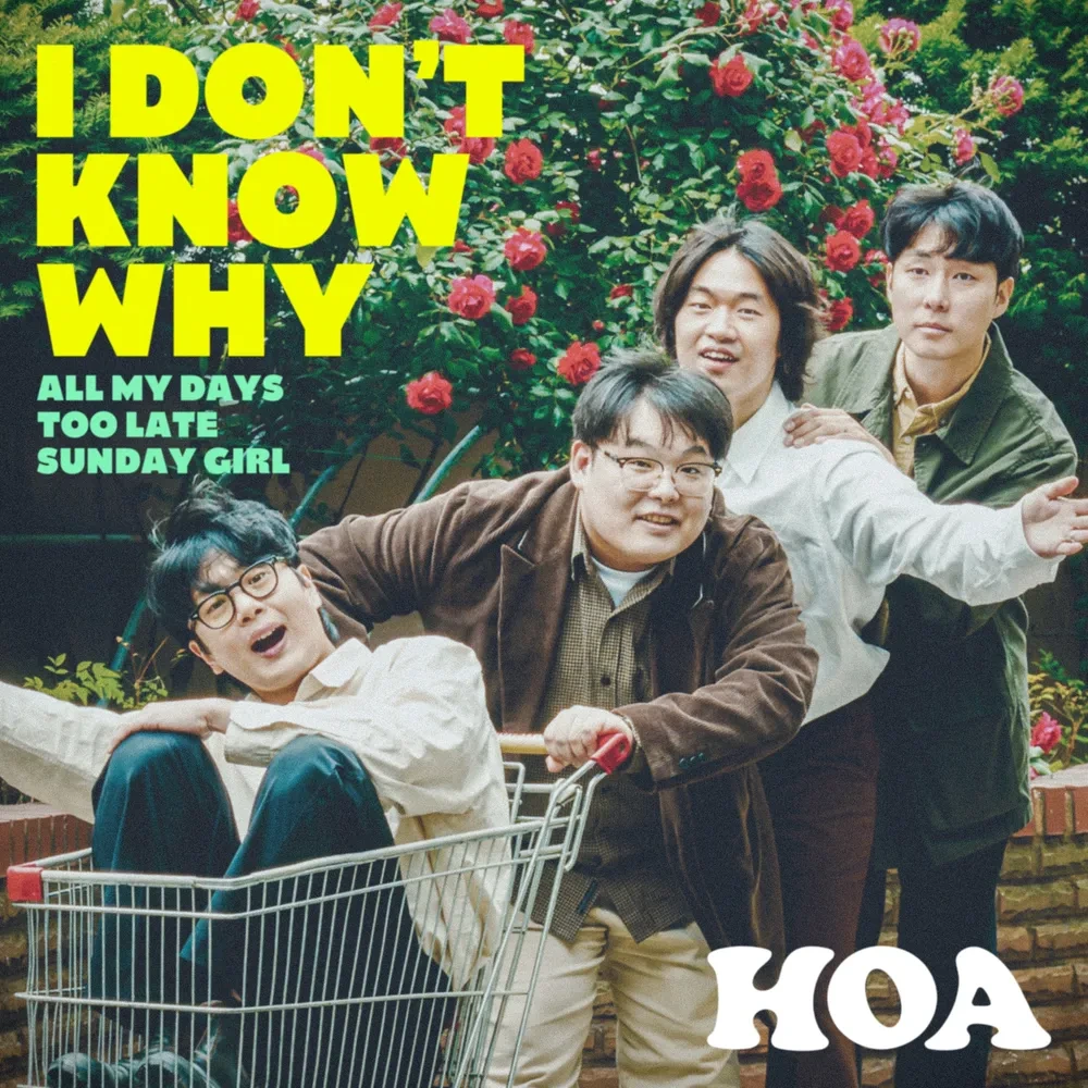 호아(HOA) 이미지