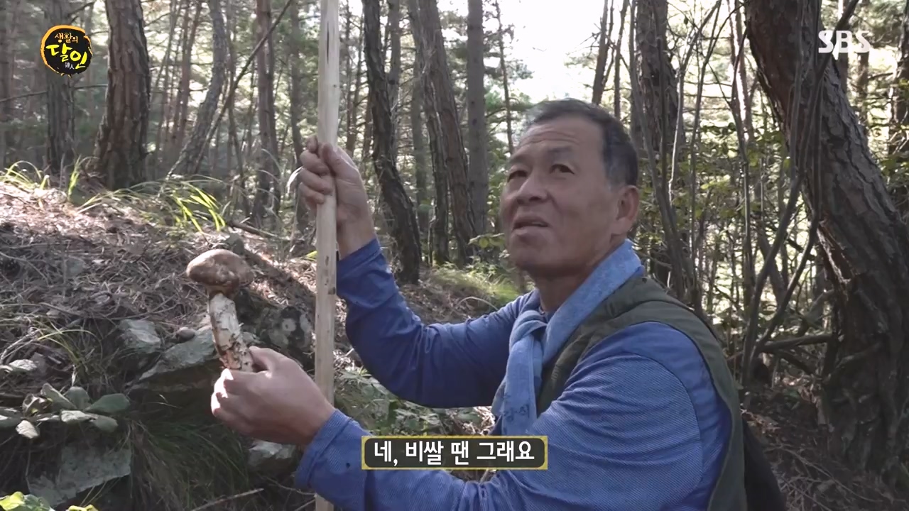 생활의 달인.E907.231010p-NEXT.mp4_20231010_203831.786.jpg