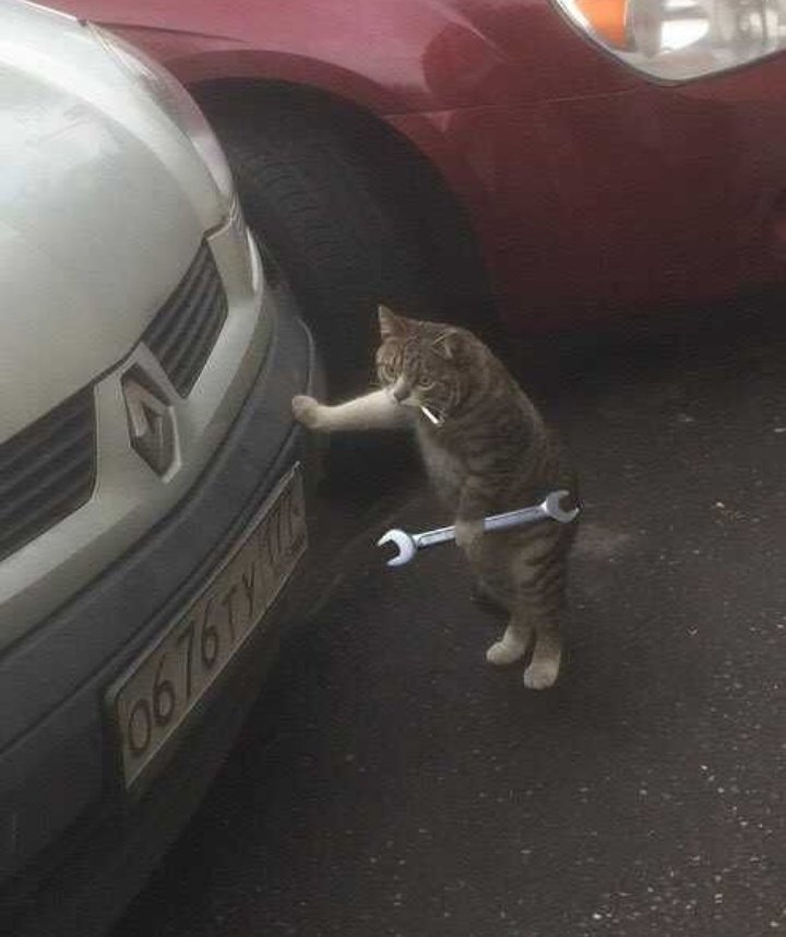 막내카센타 이미지