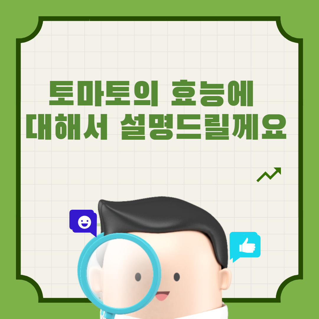  토마토 효능