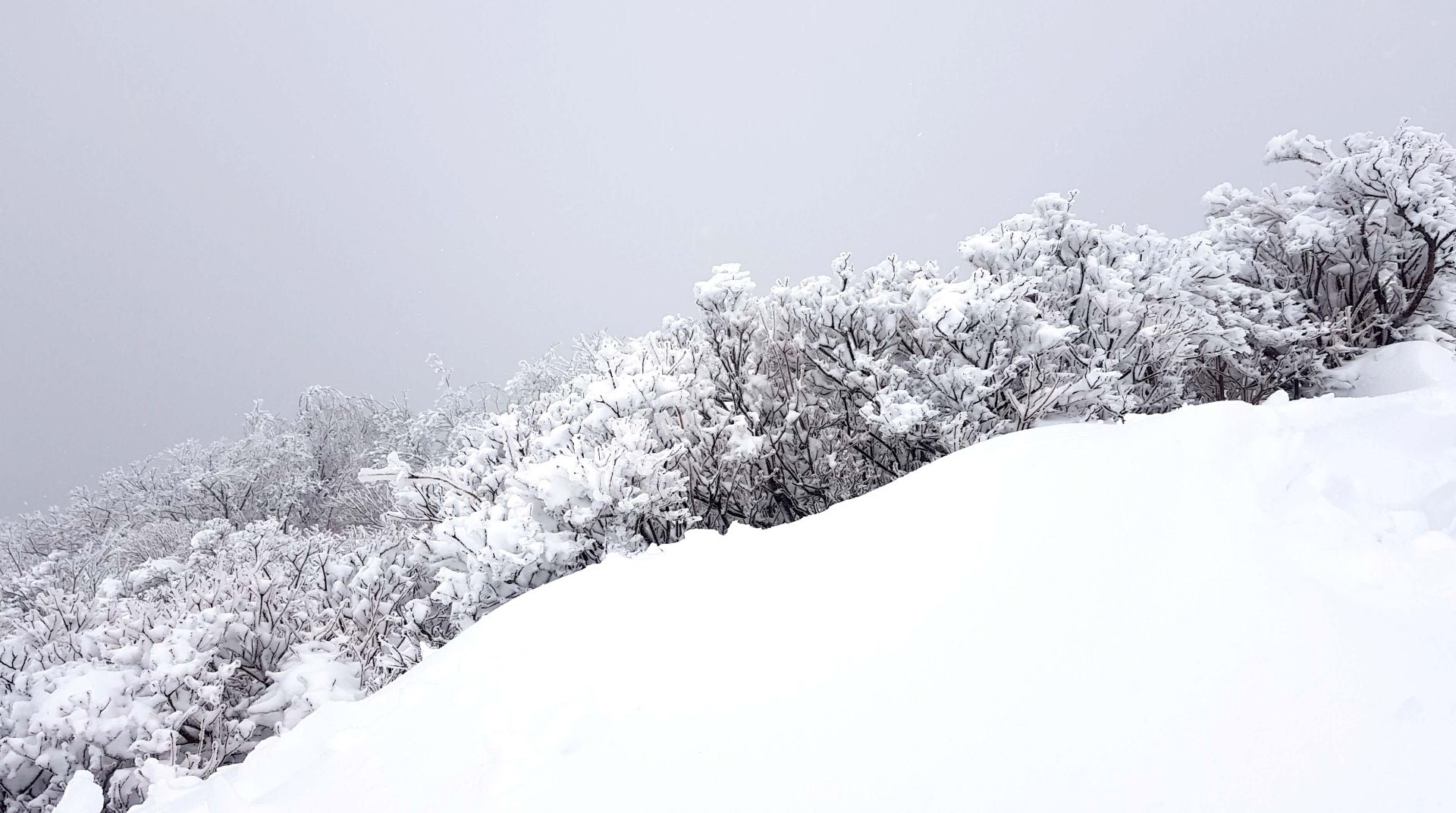 울산 가지산 설경