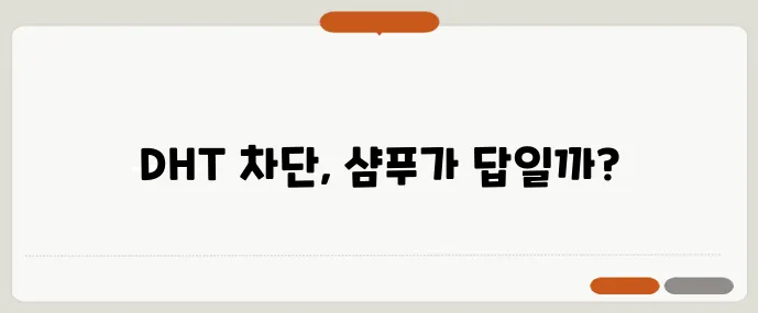 40대 여성 탈모 치료엔 DHT 차단 샴푸 효과가 중요하죠!