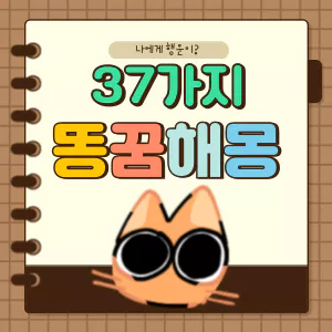 37가지꿈해몽