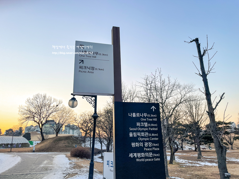 올림픽공원 나홀로나무 사진찍기 좋은곳 서울 가볼만한곳 겨울 20