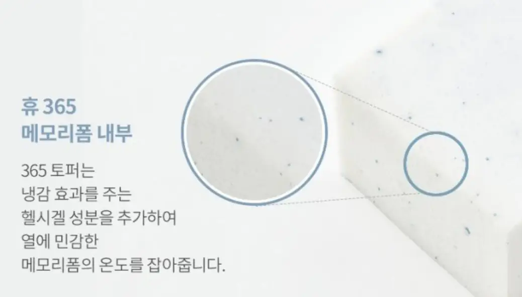 사진11