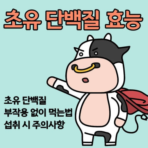  초유단백질 효능 식물성 동물성 초유프로틴 분말 가루 부작용없이 먹는법