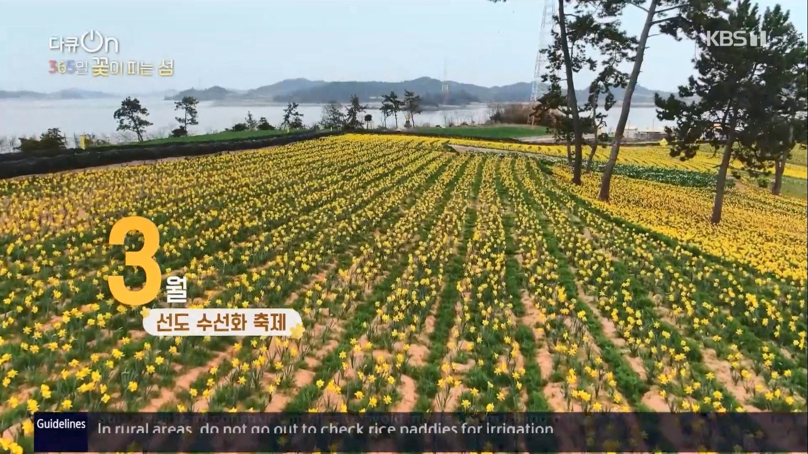 다큐 On.E201.230610p.H264-F1RST.mp4_20230611_164643.345.jpg