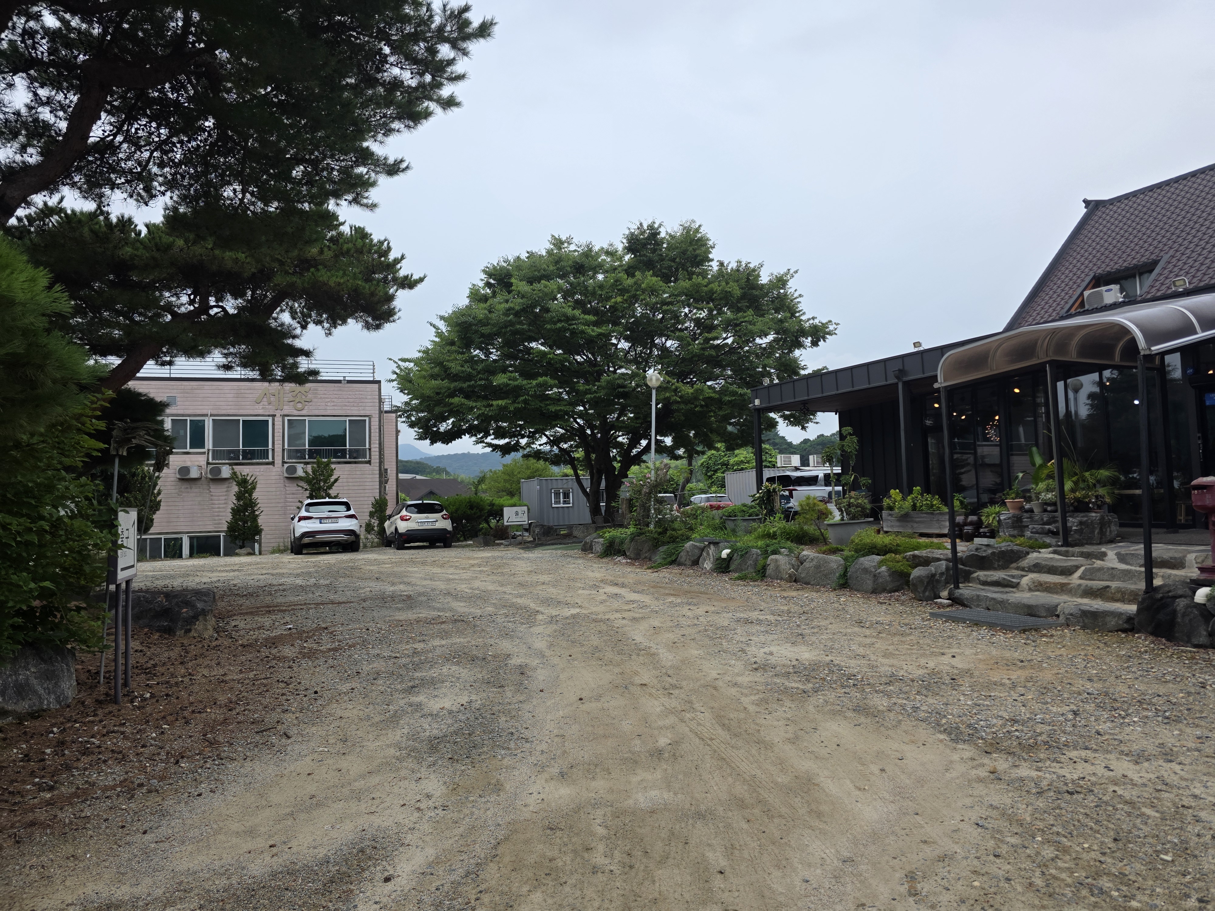 Hwanggeumotdak (황금옻닭) 2