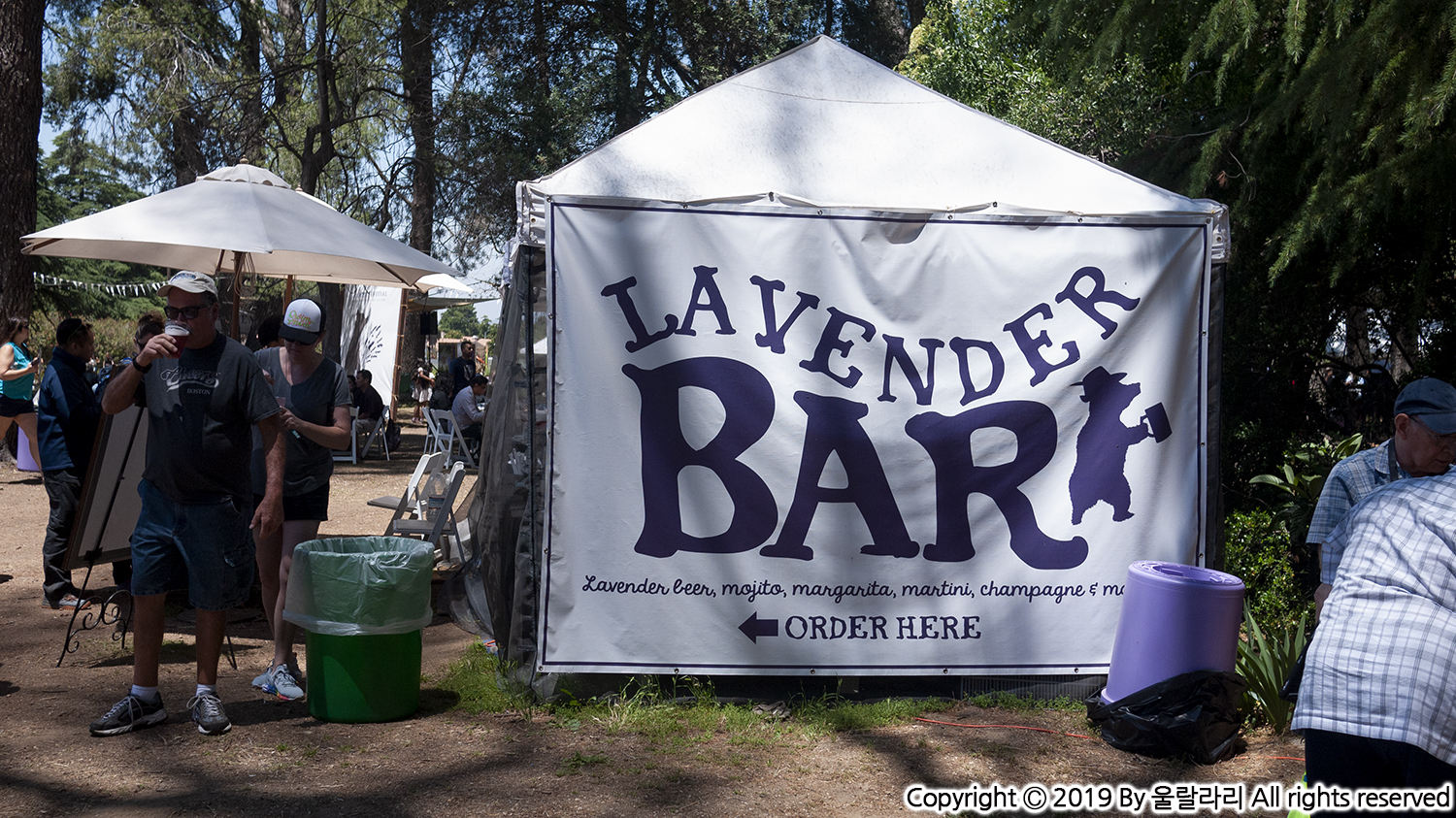 캘리포니아 라벤더 페스티발 Lavender Festival