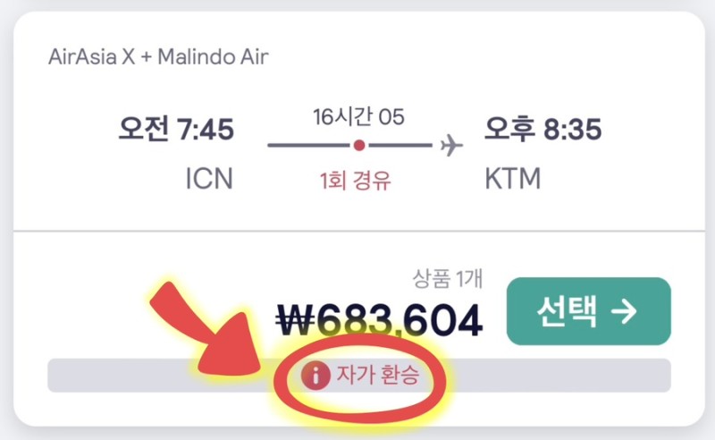 스카이스캐너 자가환승 비행기표1