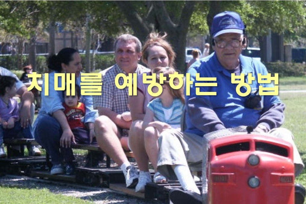  치매 예방약과 치매 치료제 효과