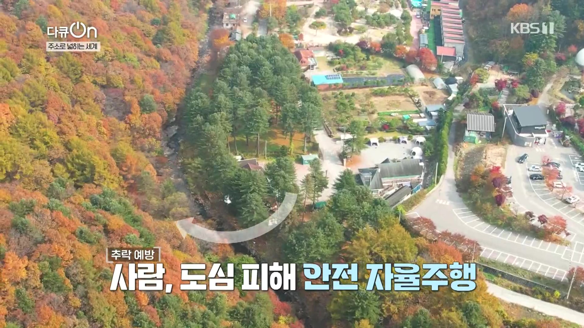 다큐 On.E231.231210p.H264-F1RST.mp4_20231212_200212.203.jpg