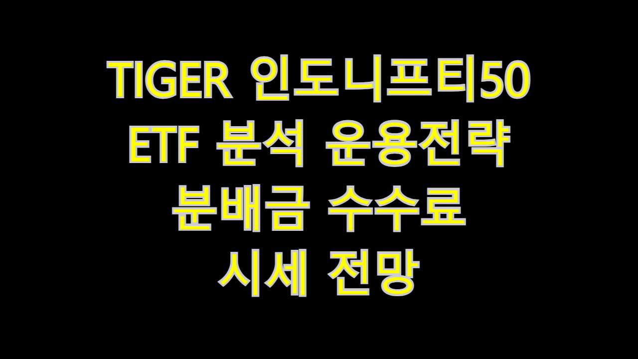  TIGER 인도니프티50 ETF 분석 운용전략 분배금 수수료 시세 전망