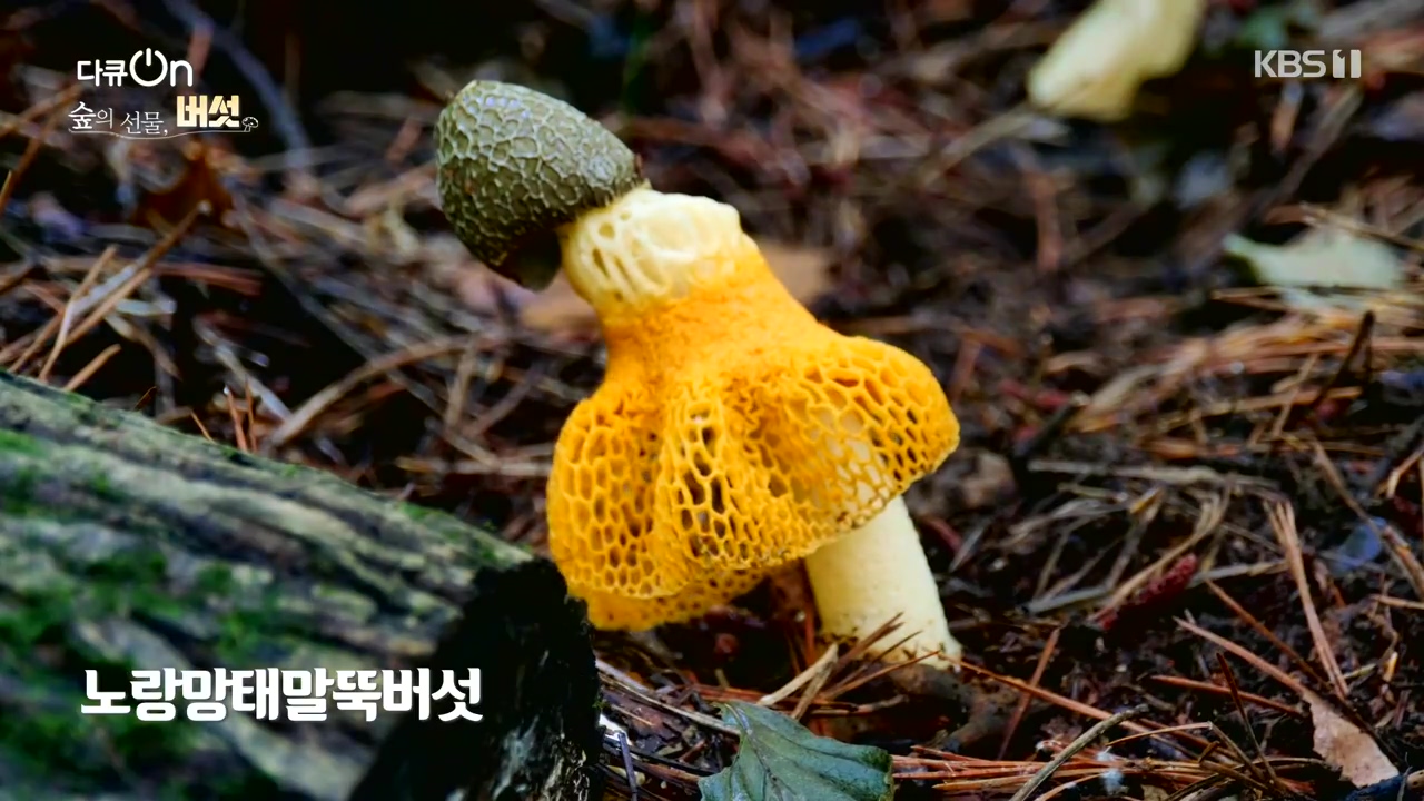 다큐 온.E227.231120p-NEXT.mp4_20231121_201831.498.jpg