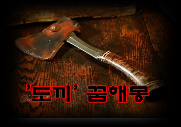  [무료꿈해몽]도끼 꿈해몽;믿는도끼에발등찍힌꿈,장작패는꿈,도끼를던지는꿈,집안에있는도끼꿈,녹슨도끼,금도끼,도끼가는꿈 등.