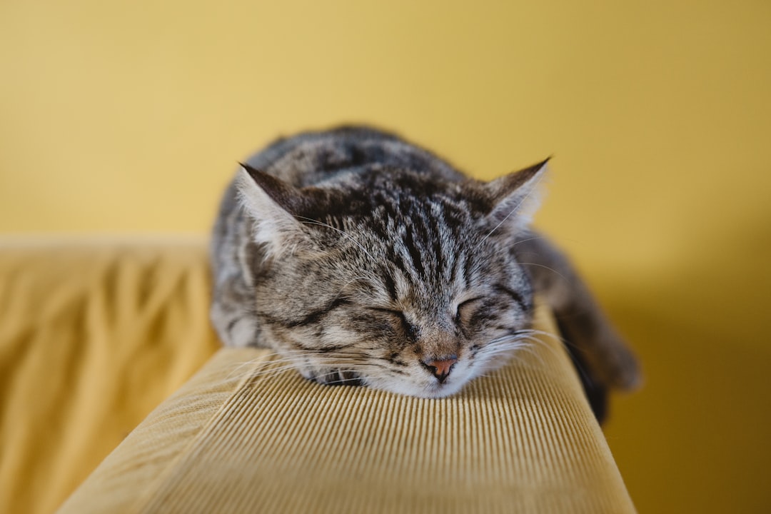 Sleep
