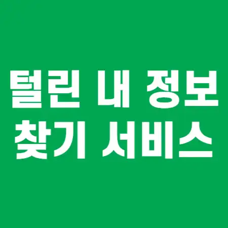 털린 내 정보 찾기 서비스 썸네일