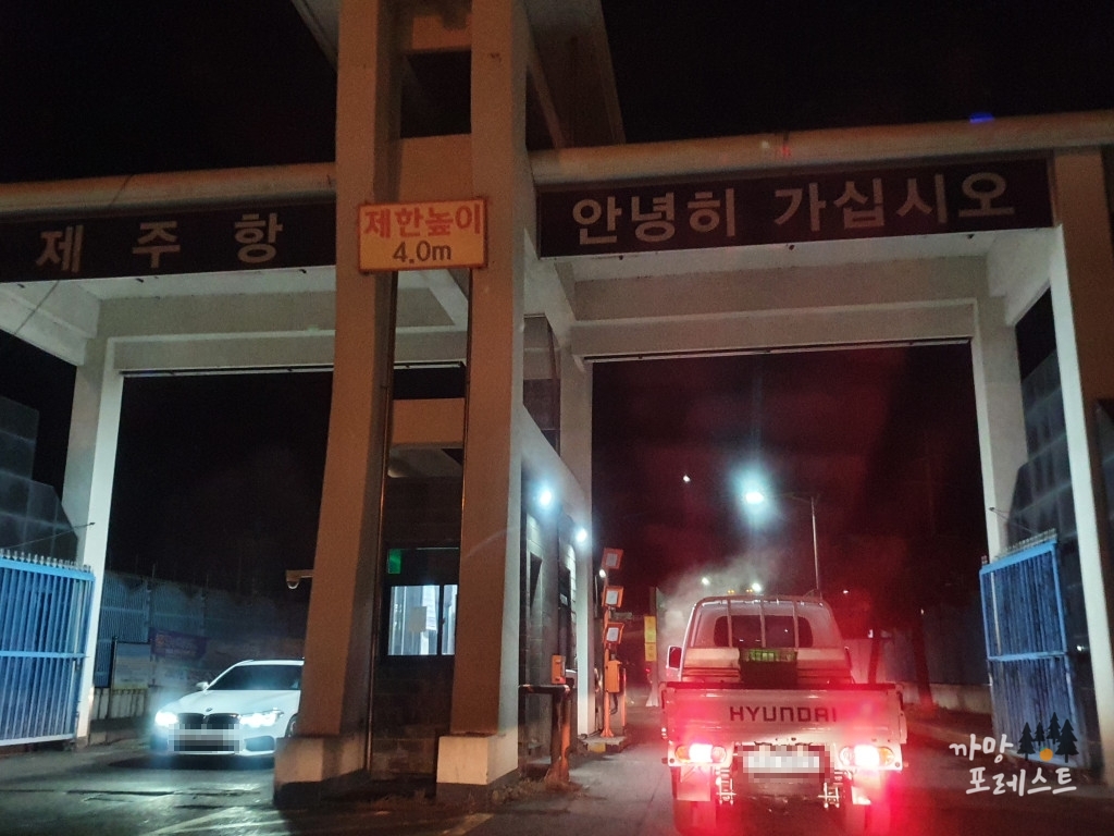 엠에스페리 제주항 도착