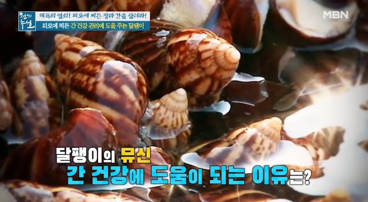  (간건강에좋은음식)달팽이효능피로에찌든간건강에도움되는 보양식재료 해독음식 식용달팽이 달팽이죽 레시피 달팽이주스 만들기 천기누설
