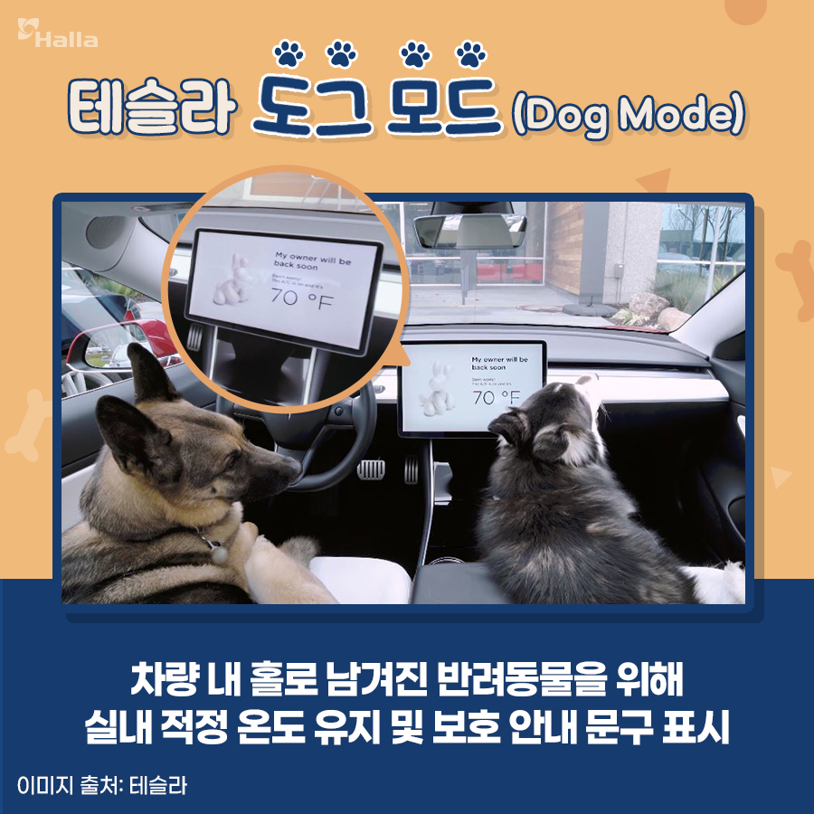 테슬라 도그 모드(Dog Mode) 
: 차량 내 홀로 남겨진 반려동물을 위해 실내 적정 온도 유지 및 보호 안내 문구 표시