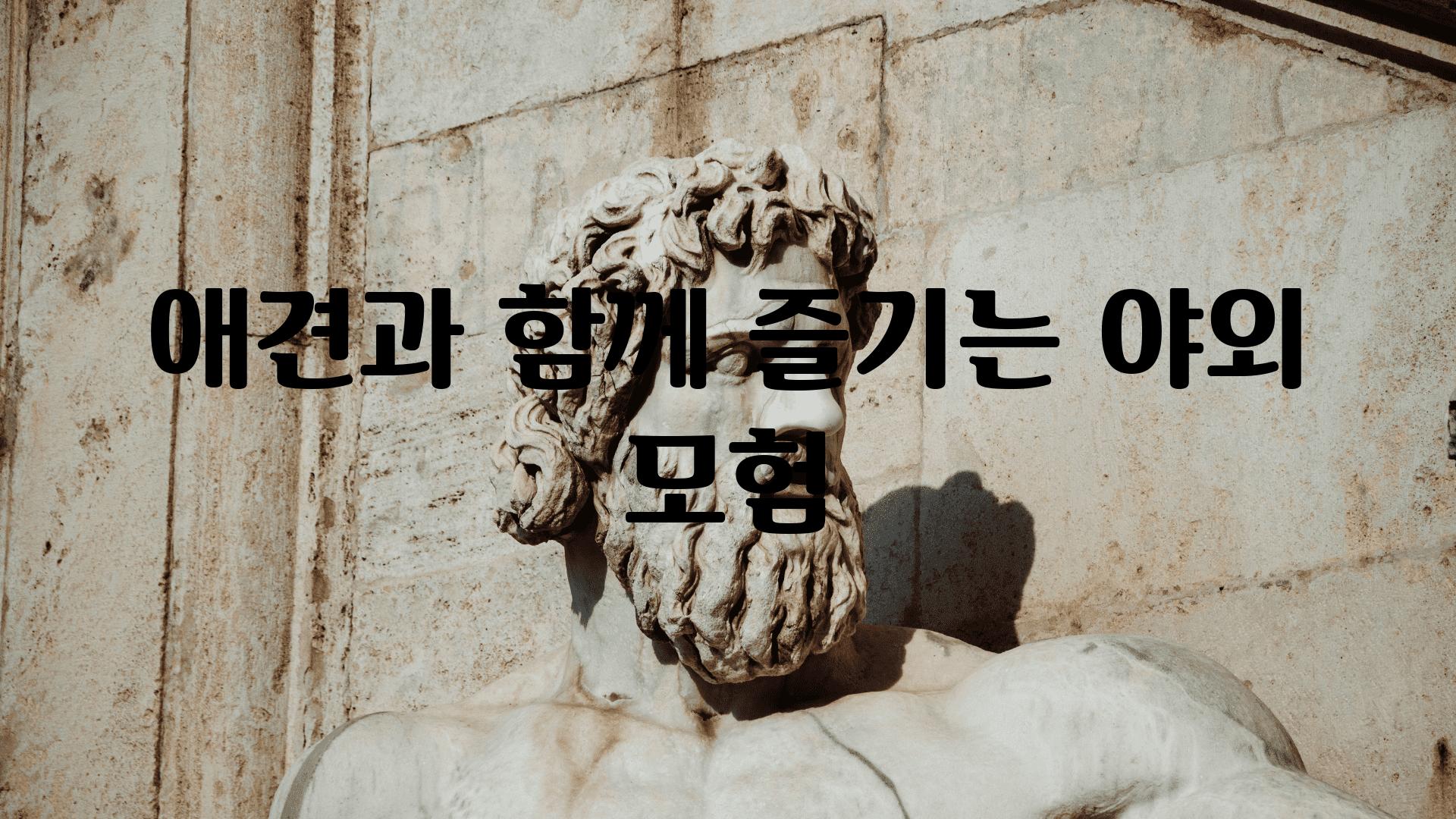 애견과 함께 즐기는 야외 모험