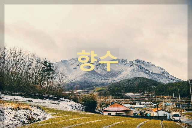  [시 감상]정지용 - 향수
