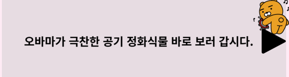 안내