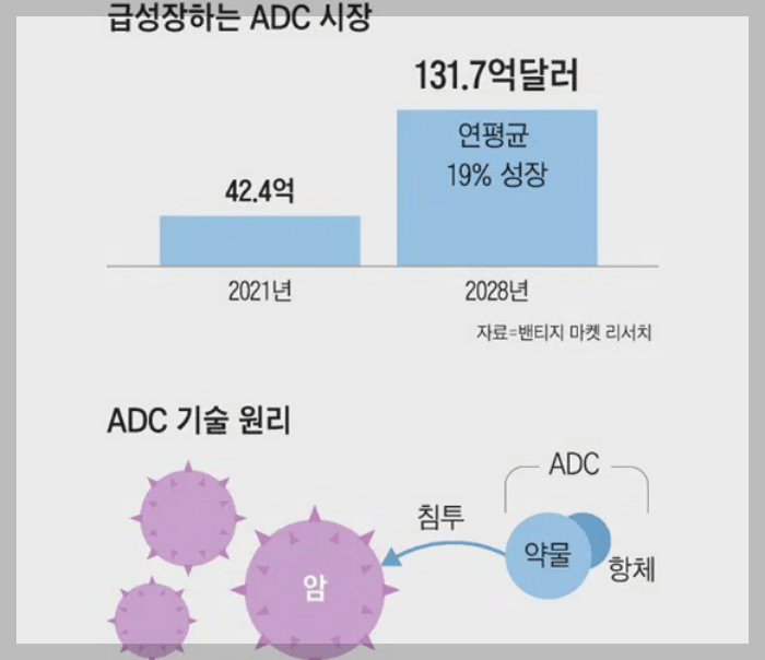 ADC 시장 규모와 기술 원리