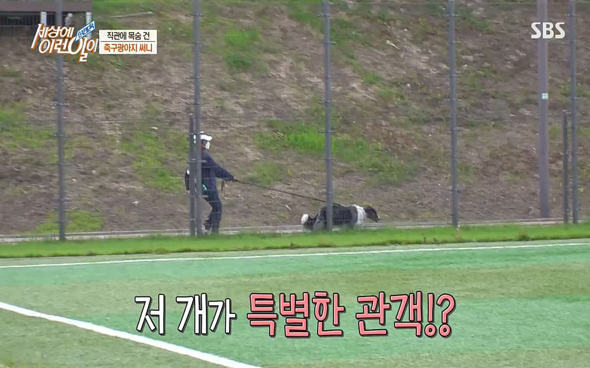 순간포착 세상에 이런일이.E1188.220713p-NEXT.mp4_20220713_175334.382.jpg